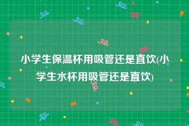 小学生保温杯用吸管还是直饮(小学生水杯用吸管还是直饮)