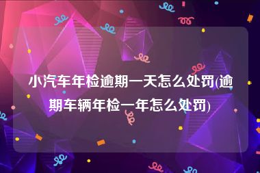 小汽车年检逾期一天怎么处罚(逾期车辆年检一年怎么处罚)