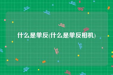 什么是单反(什么是单反相机)