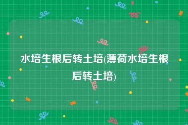 水培生根后转土培(薄荷水培生根后转土培)