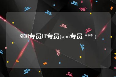 SEM专员IT专员(sem专员 *** )