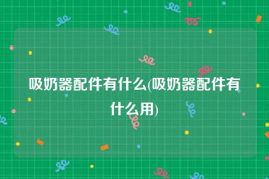 吸奶器配件有什么(吸奶器配件有什么用)