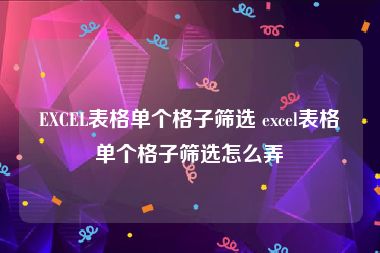 EXCEL表格单个格子筛选 excel表格单个格子筛选怎么弄