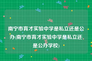 南宁市育才实验中学是私立还是公办(南宁市育才实验中学是私立还是公办学校)