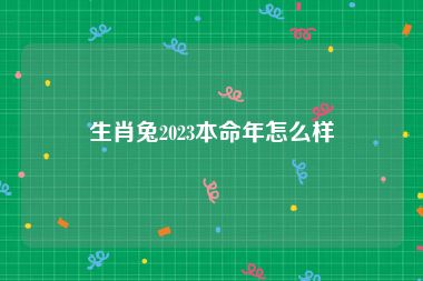生肖兔2023本命年怎么样