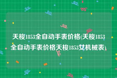 天梭1853全自动手表价格(天梭1853全自动手表价格天梭1853女机械表)