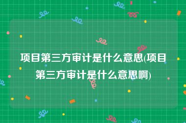 项目第三方审计是什么意思(项目第三方审计是什么意思啊)