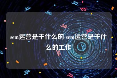 sem运营是干什么的 sem运营是干什么的工作