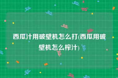 西瓜汁用破壁机怎么打(西瓜用破壁机怎么榨汁)