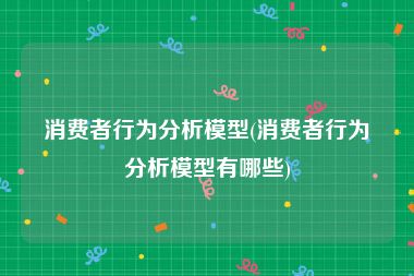 消费者行为分析模型(消费者行为分析模型有哪些)