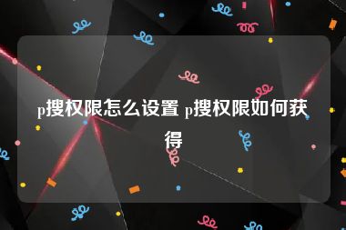 p搜权限怎么设置 p搜权限如何获得