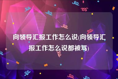 向领导汇报工作怎么说(向领导汇报工作怎么说都被骂)