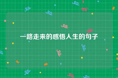 一路走来的感悟人生的句子