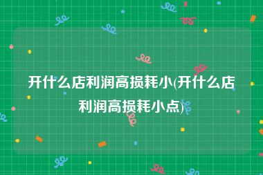 开什么店利润高损耗小(开什么店利润高损耗小点)