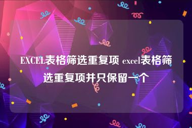 EXCEL表格筛选重复项 excel表格筛选重复项并只保留一个
