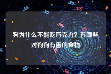 狗为什么不能吃巧克力？有哪些对狗狗有害的食物