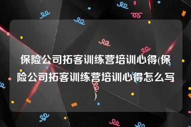 保险公司拓客训练营培训心得(保险公司拓客训练营培训心得怎么写)