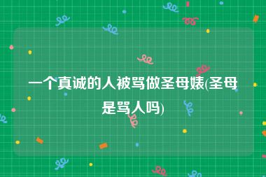 一个真诚的人被骂做圣母婊(圣母是骂人吗)