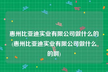 惠州比亚迪实业有限公司做什么的(惠州比亚迪实业有限公司做什么的啊)