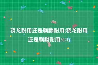 骁龙耐用还是麒麟耐用(骁龙耐用还是麒麟耐用2021)