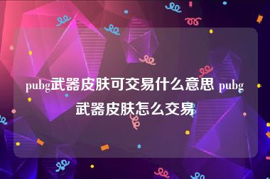 pubg武器皮肤可交易什么意思 pubg武器皮肤怎么交易