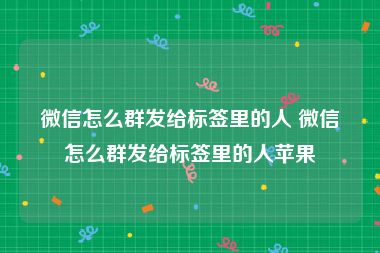 微信怎么群发给标签里的人 微信怎么群发给标签里的人苹果