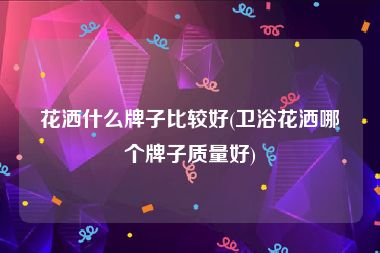 花洒什么牌子比较好(卫浴花洒哪个牌子质量好)