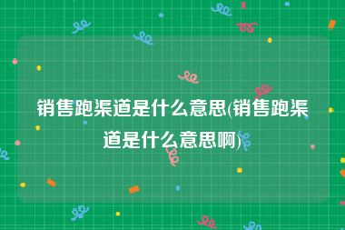 销售跑渠道是什么意思(销售跑渠道是什么意思啊)