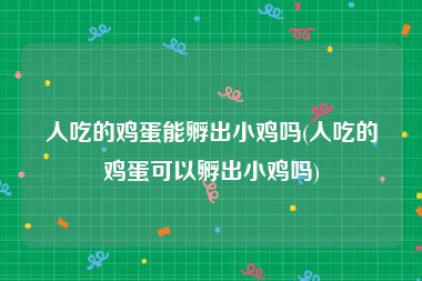 人吃的鸡蛋能孵出小鸡吗(人吃的鸡蛋可以孵出小鸡吗)
