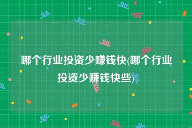 哪个行业投资少赚钱快(哪个行业投资少赚钱快些)