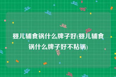 婴儿辅食锅什么牌子好(婴儿辅食锅什么牌子好不粘锅)