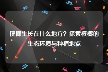 槟榔生长在什么地方？探索槟榔的生态环境与种植地点