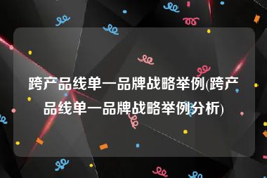 跨产品线单一品牌战略举例(跨产品线单一品牌战略举例分析)