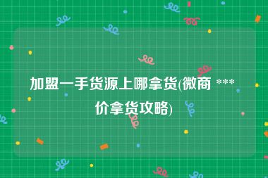 加盟一手货源上哪拿货(微商 *** 价拿货攻略)