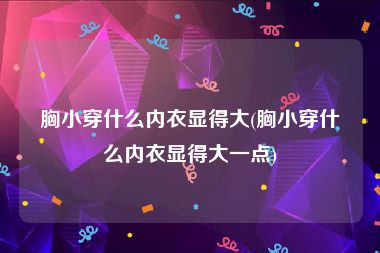 胸小穿什么内衣显得大(胸小穿什么内衣显得大一点)