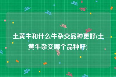 土黄牛和什么牛杂交品种更好(土黄牛杂交哪个品种好)