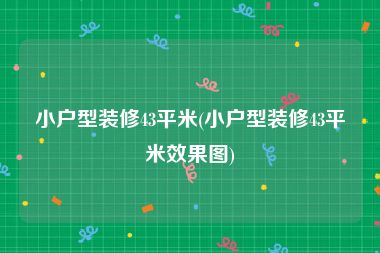 小户型装修43平米(小户型装修43平米效果图)