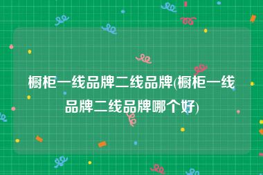 橱柜一线品牌二线品牌(橱柜一线品牌二线品牌哪个好)