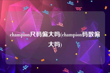champion尺码偏大吗(champion码数偏大吗)