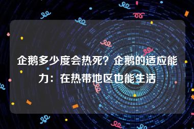 企鹅多少度会热死？企鹅的适应能力：在热带地区也能生活