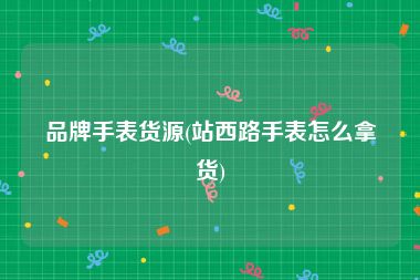 品牌手表货源(站西路手表怎么拿货)