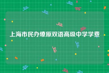 上海市民办燎原双语高级中学学费