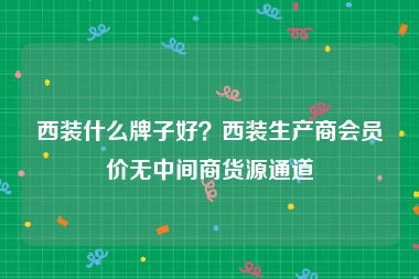 西装什么牌子好？西装生产商会员价无中间商货源通道