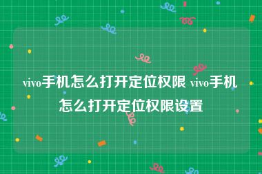 vivo手机怎么打开定位权限 vivo手机怎么打开定位权限设置