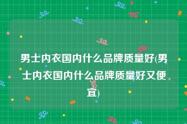 男士内衣国内什么品牌质量好(男士内衣国内什么品牌质量好又便宜)