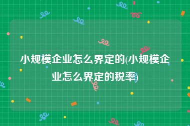 小规模企业怎么界定的(小规模企业怎么界定的税率)