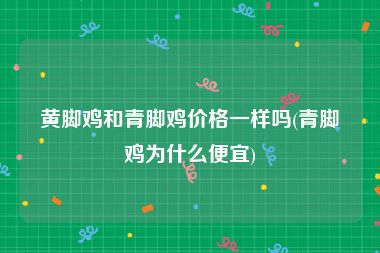 黄脚鸡和青脚鸡价格一样吗(青脚鸡为什么便宜)