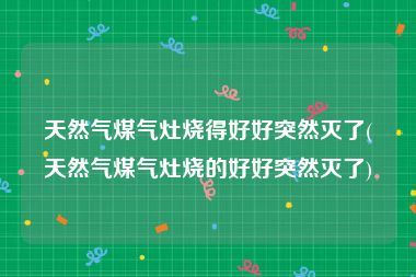 天然气煤气灶烧得好好突然灭了(天然气煤气灶烧的好好突然灭了)