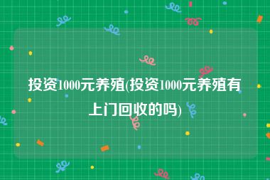 投资1000元养殖(投资1000元养殖有上门回收的吗)