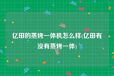 亿田的蒸烤一体机怎么样(亿田有没有蒸烤一体)